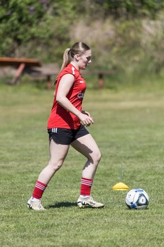 Bild 80 - F SG NieBar - IF Stjernen Flensborg : Ergebnis: 2:0